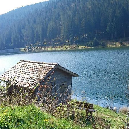 Outdoor & Relax Blackforest Neukirch  Exterior foto