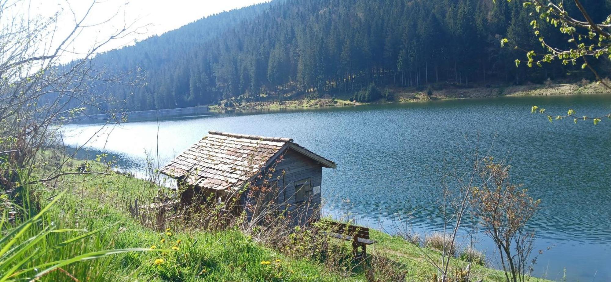 Outdoor & Relax Blackforest Neukirch  Exterior foto