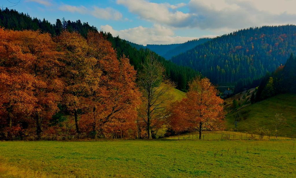 Outdoor & Relax Blackforest Neukirch  Exterior foto