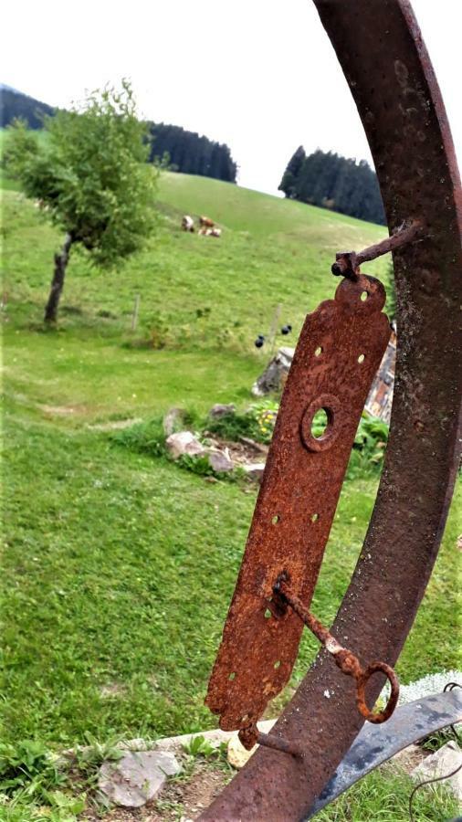 Outdoor & Relax Blackforest Neukirch  Exterior foto